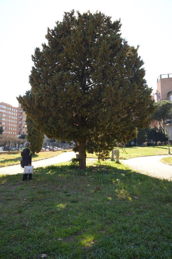 Brezza Marina Rom